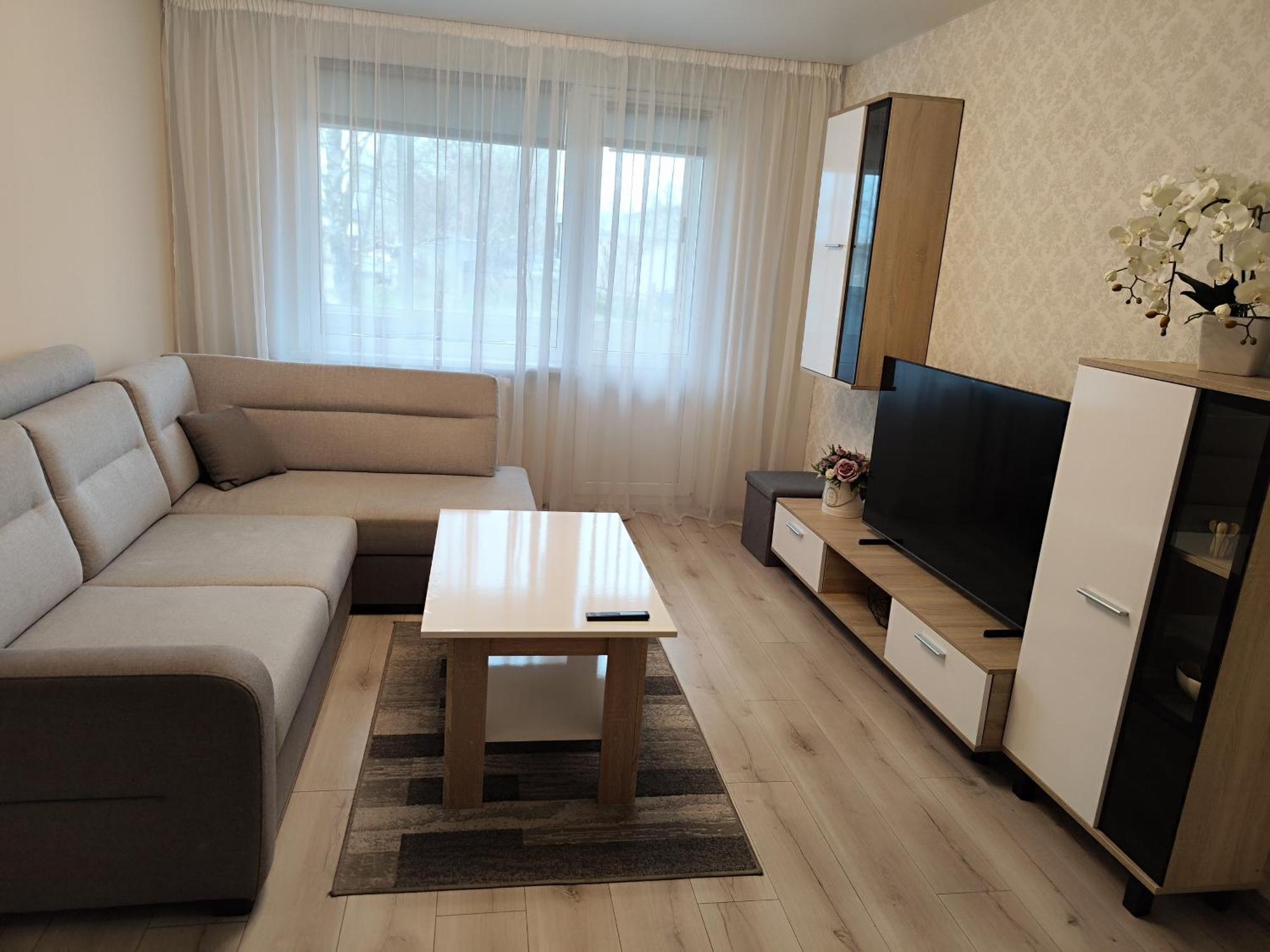 Apartment Monica Panevezys
